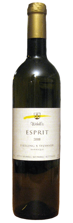 «Esprit» 2008