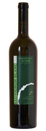 Sauvignon Blanc 2010