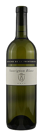 Sauvignon Blanc 2011