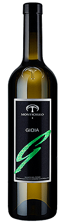 Gioia 2019