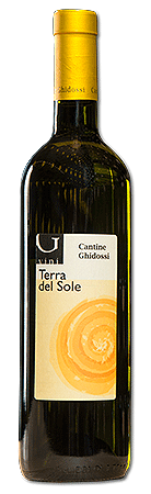 Terra del Sole 2020